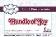 Picture of Creative Expressions Craft Dies By Sue Wilson-Mini Shadowed Sentiments Bundle Of Joy