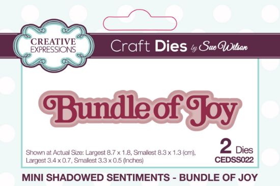 Picture of Creative Expressions Craft Dies By Sue Wilson-Mini Shadowed Sentiments Bundle Of Joy