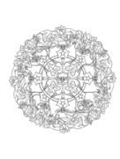 Picture of Dover Publications Creative Haven: Nature Mandalas