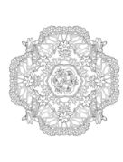 Picture of Dover Publications Creative Haven: Nature Mandalas