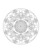 Picture of Dover Publications Creative Haven: Nature Mandalas