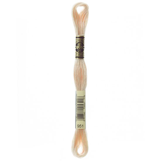 Picture of DMC 6-Strand Embroidery Cotton 8.7yd Light Tawny