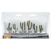 Picture of Cactus Plants .5" To 2.5" 13/Pkg  