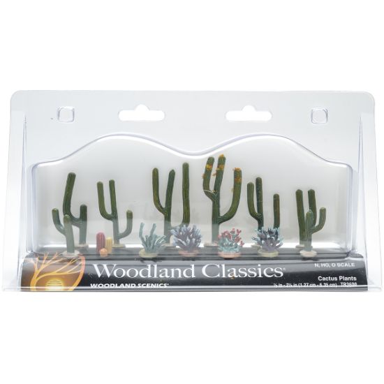 Picture of Cactus Plants .5" To 2.5" 13/Pkg  