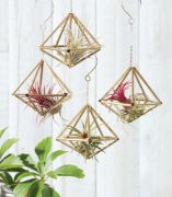 Picture of Himmeli Ornaments Kit Double pentagon