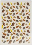 Picture of Dress My Craft Transfer Me Sheet A4 Dry Leaves