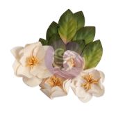 Picture of Prima Marketing Mulberry Paper Flowers-Peaceful Magnolia/Magnolia Rouge