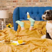 Picture of Rit Dye Liquid 8oz-Marigold