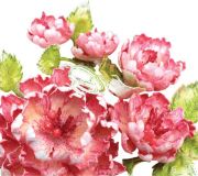 Picture of Heartfelt Creations Flower Shaping Paper 12"X12" 25/Pkg White 