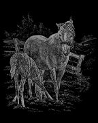 Picture of Silver Foil Engraving Art Kit 8"X10" Mare & Foal