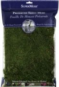 Picture of Sheet Moss 2oz Green