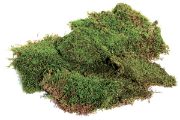 Picture of Sheet Moss 2oz Green