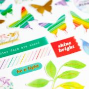 Picture of PinkFresh Vellum Embellishments Die-Cuts-Delightful