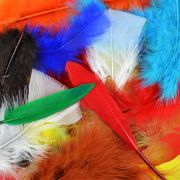 Picture of Packaged Feathers 71g Assorted Colors