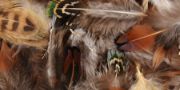 Picture of Packaged Feathers Natural 28g
