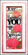 Picture of Creative Expressions Craft Dies By Sue Wilson-Slimline- You Are So Special