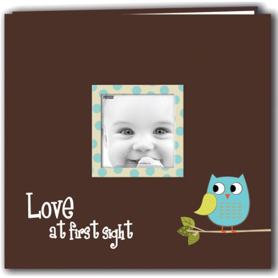Picture of Pioneer Baby Owl Post Bound Album 12"X12" Blue