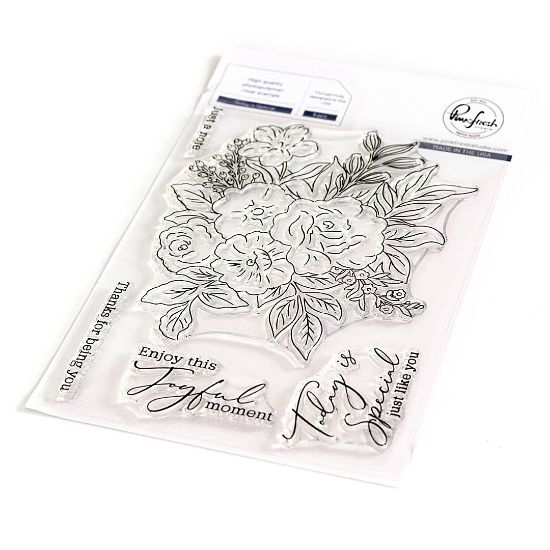 Picture of Pinkfresh Studio Clear Stamp Set 4"X6"-Today Is Special