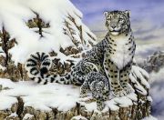 Picture of Junior Large Paint By Number Kit 15.25"X11.25" Alpine Royalty