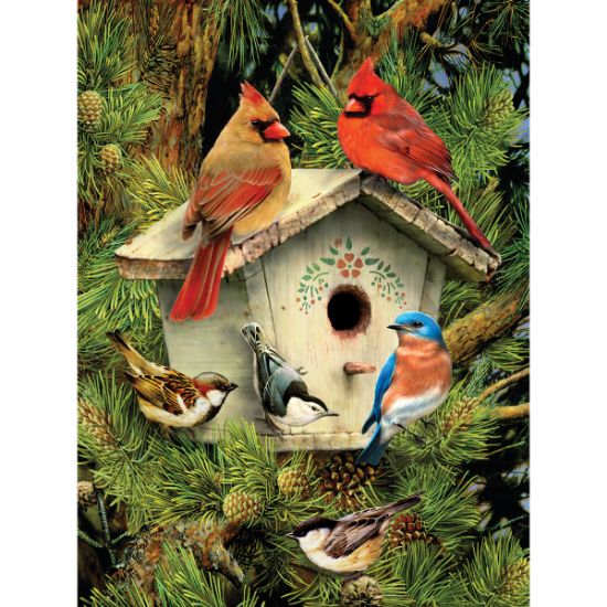 Picture of Junior Small Paint By Number Kit 8.75"X11.75" Native Neighbors