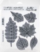 Picture of Tim Holtz Cling Stamps 7"X8.5" Pressed Foliage