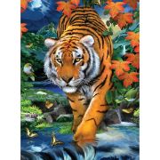 Picture of Junior Small Paint By Number Kit 8.75"X11.75" On The Prowl