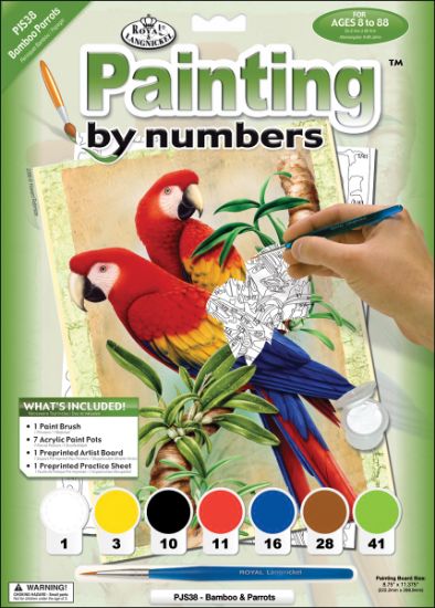 Picture of Junior Small Paint By Number Kit 8.75"X11.75" Bamboo & Parrots