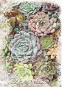 Picture of Prima Marketing Re-Design Mulberry Tissue 19"x30" Zuri