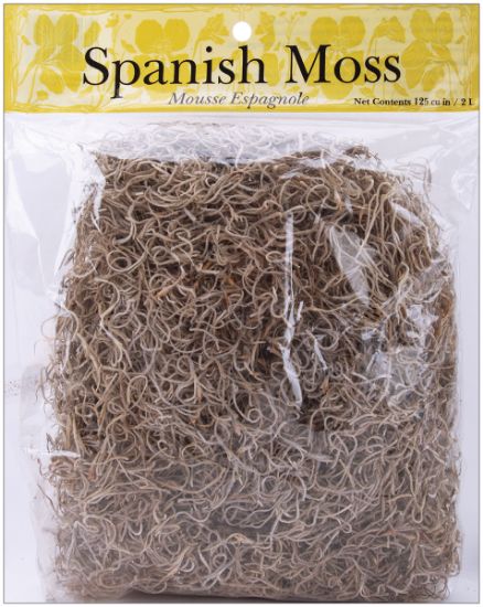 Picture of Spanish Moss 4oz Natural