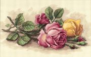 Picture of Rose Cuttings Counted Cross Stitch Kit 14"X9" 14 Count