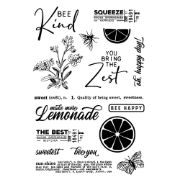 Picture of Simple Vintage Lemon Twist Photopolymer Clear Stamps 