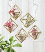 Picture of Himmeli Ornaments Kit Diamond