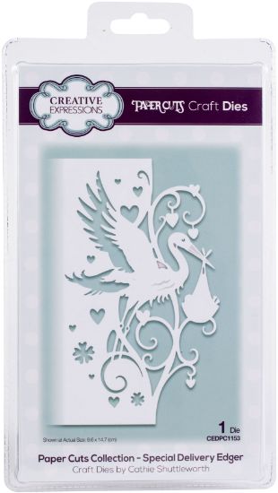 Picture of Creative Expressions Paper Cuts Edger Craft Dies Special Delivery