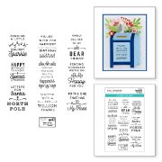 Picture of Spellbinders Clear Acrylic Stamps-Parcel & Post Sentiments
