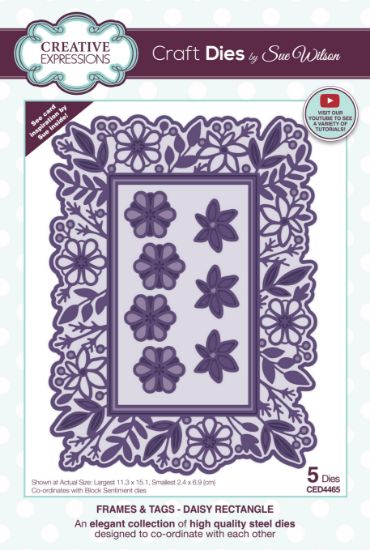 Picture of Creative Expressions Craft Dies By Sue Wilson-Frames & Tags- Daisy Rectangle