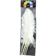 Picture of Turkey Rounds Feathers 4/Pkg White