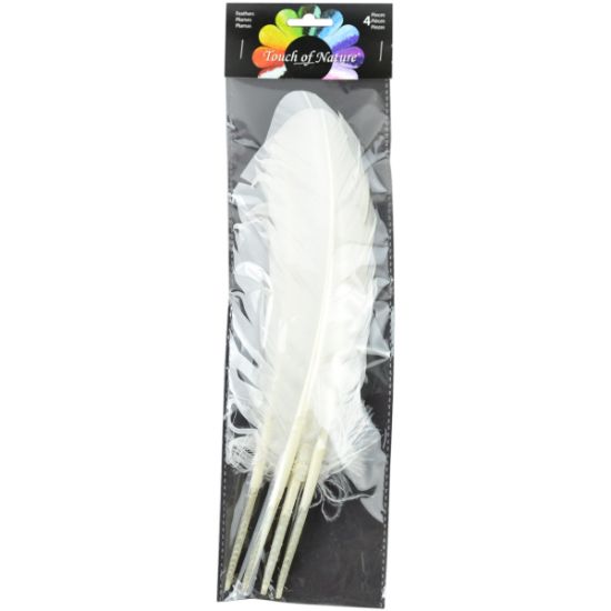 Picture of Turkey Rounds Feathers 4/Pkg White