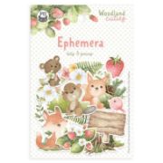 Picture of Woodland Cuties Ephemera Cardstock Die-Cuts 12/Pkg-Elements