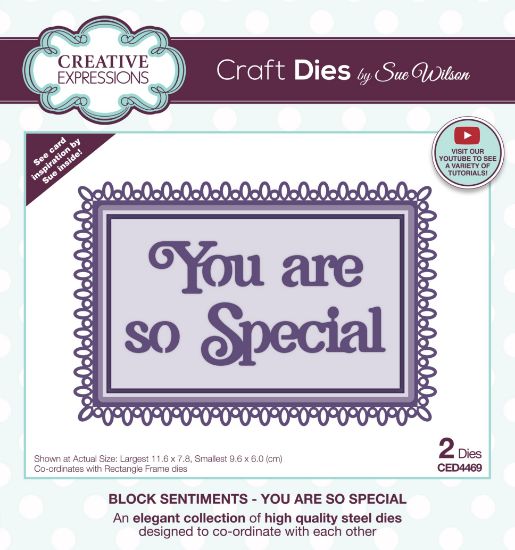 Picture of Creative Expressions Craft Dies By Sue Wilson-Block Sentiments- You Are So Special