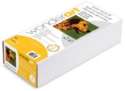 Picture of Wonderart Latch Hook Kit 12"X12" Golden Penny