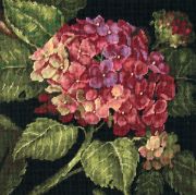 Picture of Hydrangea Bloom Needlepoint Kit 14"X14" Stitched In Wool
