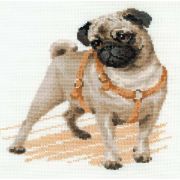 Picture of Pug Dog Counted Cross Stitch Kit 9.75"X9.75" 14 Count