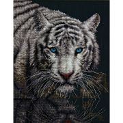 Picture of Into The Light Counted Cross Stitch Kit 11"X14" 14 Count