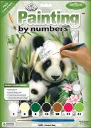 Picture of Junior Small Paint By Number Kit 8.75"X11.75" Panda & Baby