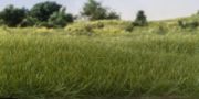 Picture of Woodland Scenic Static Grass 7mm Light Green