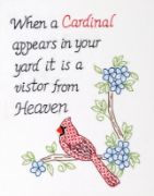 Picture of Jack Dempsey Stamped White Sampler 11"X14" Cardinal