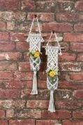 Picture of Macrame Plant Hanger Kit Two Minis