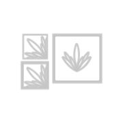 Picture of Sizzix 2D Impresslits Embossing Folder By Lisa Jones-Ornate Frames