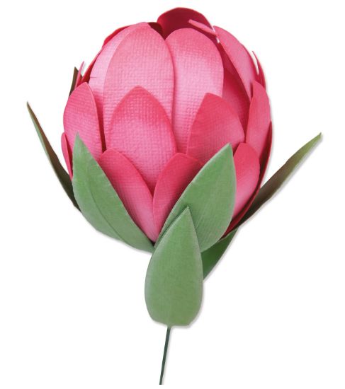 Picture of Sizzix Bigz Die By Olivia Rose Protea