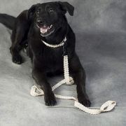 Picture of Nylon Crochet Thread Size 18 Black